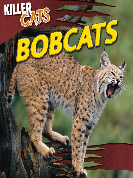 Title details for Bobcats by Ann Grucella - Available